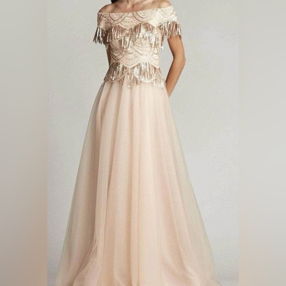 Tadashi Shoji Dresses & Skirts - Tadashi Shoij Ballgown  BUF22215L SIZE 14 $608 NWT